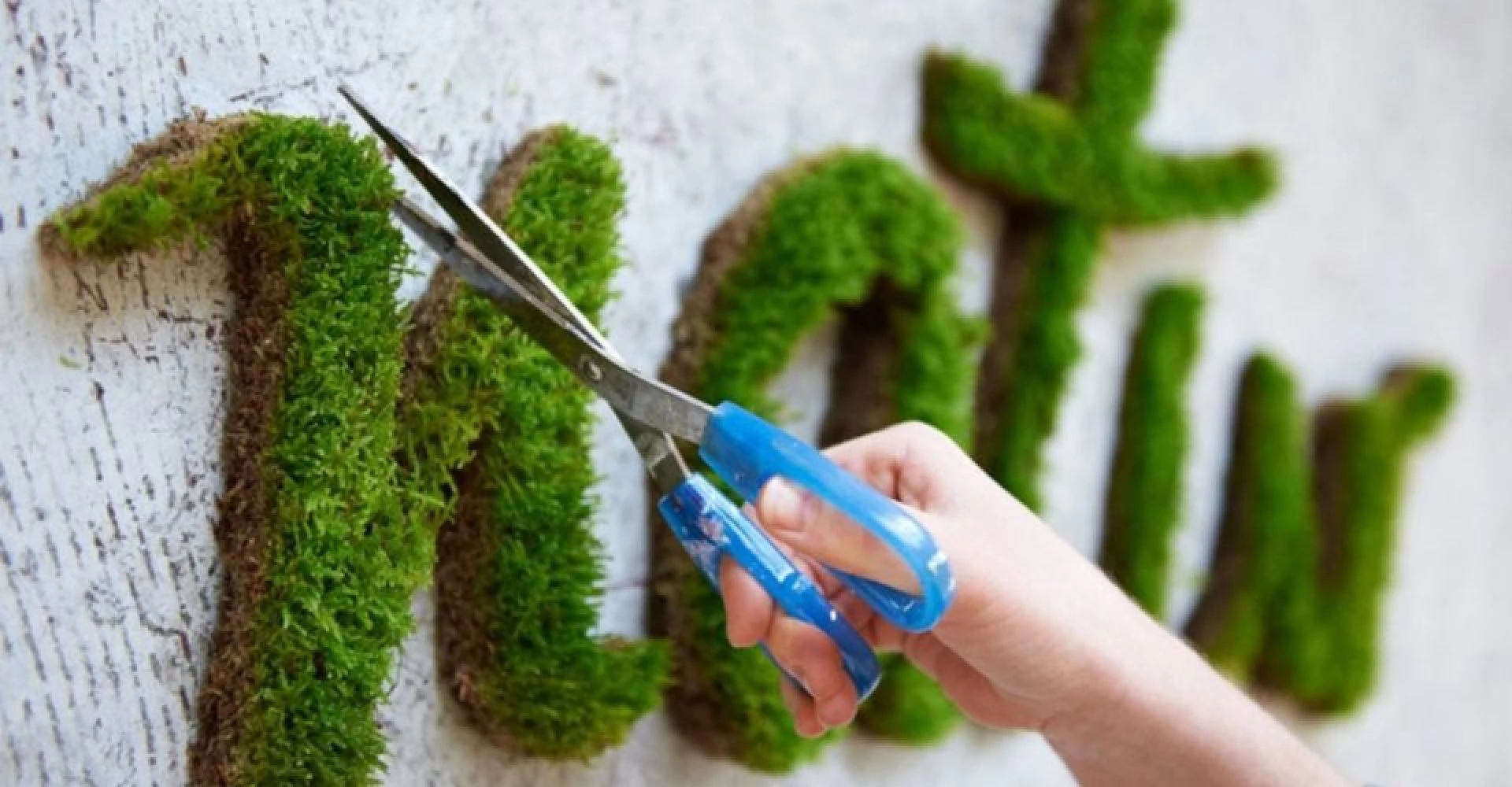 Graffiti Vegetal Developpement Durable Green Tag Lg
